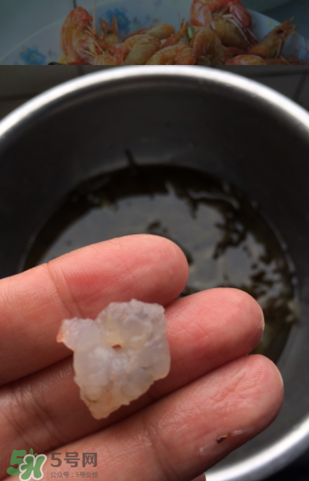 河蝦可以放冰箱嗎？河蝦在冰箱能放幾天？