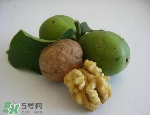 鮮核桃和干核桃哪個更有營養(yǎng)？鮮核桃和干核桃哪個營養(yǎng)價值高？