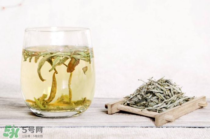白毫銀針屬于綠茶嗎？白毫銀針是什么茶？