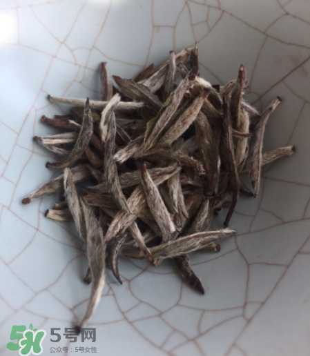 白毫銀針屬于綠茶嗎？白毫銀針是什么茶？