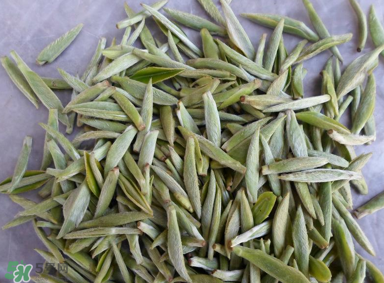 白毫銀針屬于綠茶嗎？白毫銀針是什么茶？