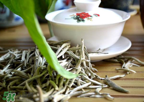 白茶需要洗茶嗎？白茶是洗還是不洗？
