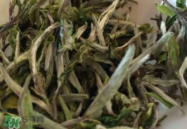 白茶需要洗茶嗎？白茶是洗還是不洗？