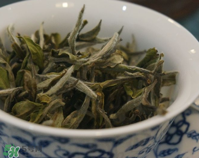 白茶需要洗茶嗎？白茶是洗還是不洗？