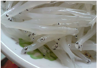 銀魚怎么保存？銀魚可以放在冰箱冷凍保存嗎？