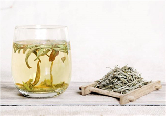 白毫銀針屬于綠茶嗎？白毫銀針是什么茶？