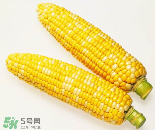 九月份能種玉米嗎？玉米九月份還可以種嗎？