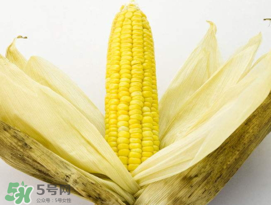 九月份能種玉米嗎？玉米九月份還可以種嗎？