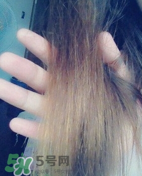 摩洛哥護發(fā)精油是哪個國家的？摩洛哥護發(fā)精油孕婦能用嗎