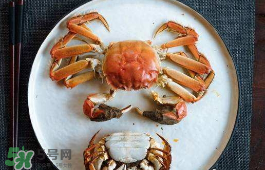 啤酒蒸大閘蟹好吃嗎？啤酒蒸大閘蟹怎么吃？
