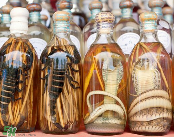 毒蛇泡酒有毒嗎？毒蛇泡酒能喝嗎？