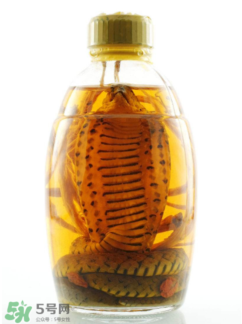 毒蛇泡酒有毒嗎？毒蛇泡酒能喝嗎？