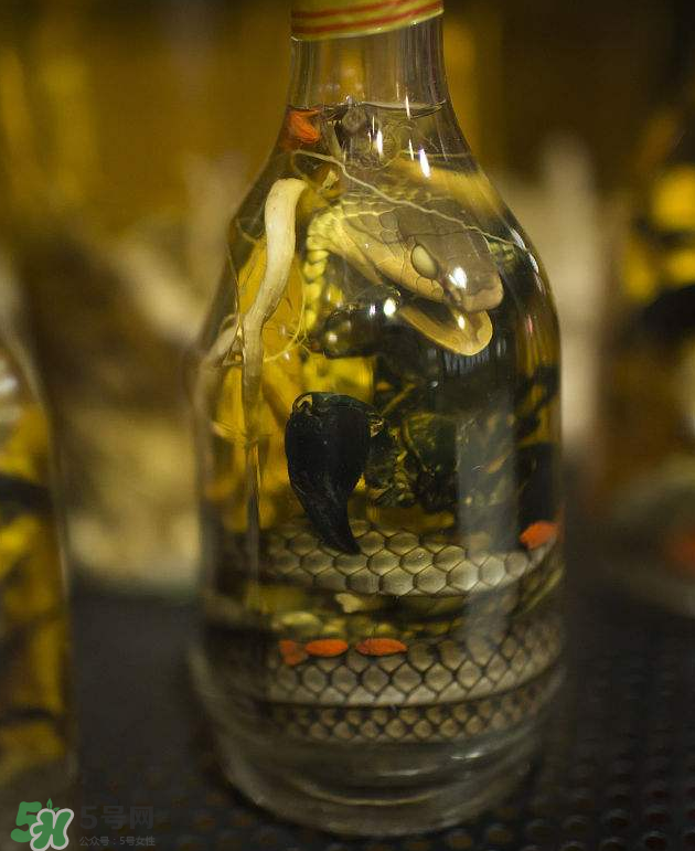 毒蛇泡酒有毒嗎？毒蛇泡酒能喝嗎？