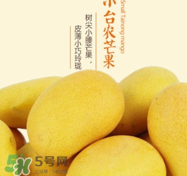 臺農(nóng)芒果多少錢一斤？臺農(nóng)芒果為什么叫臺農(nóng)芒果