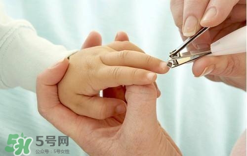 寶寶多大可以剪指甲？寶寶剪指甲的正確方法