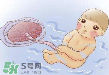如何預防羊水早破？羊水早破能保胎多久？