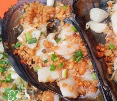 帶子是什么海鮮？帶子是什么東西