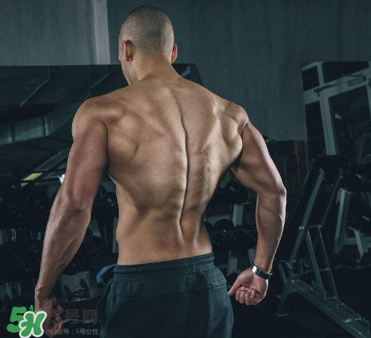 龍門架怎么練背？龍門架練背動作推薦