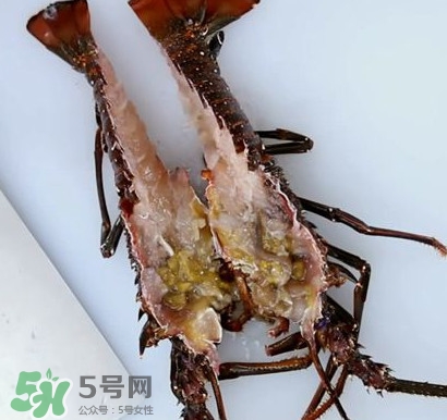 波士頓龍蝦產(chǎn)自波士頓嗎？波士頓龍蝦是哪里的