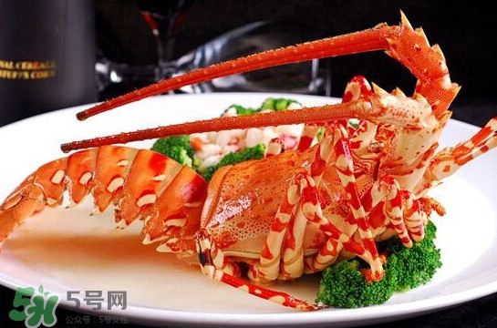 中華錦繡龍蝦可以養(yǎng)殖嗎？中華錦繡龍蝦有毒嗎