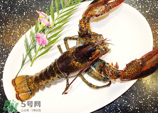 波士頓龍蝦頭能吃嗎？波士頓龍蝦哪里不能吃