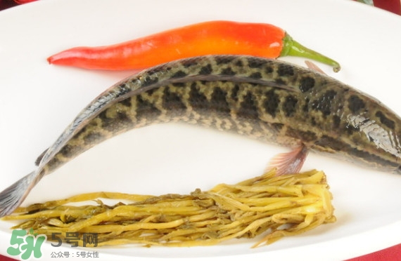 黑魚(yú)和草魚(yú)哪個(gè)好吃？黑魚(yú)不適合什么人吃