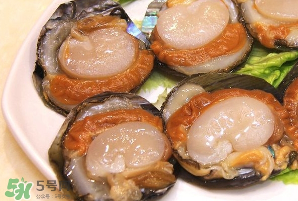 帶子是什么海鮮？帶子是什么東西