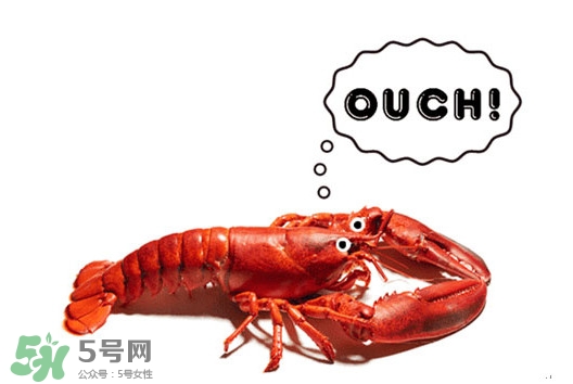 波士頓龍蝦有什么簡(jiǎn)單好吃的做法？波士頓龍蝦要怎么殺