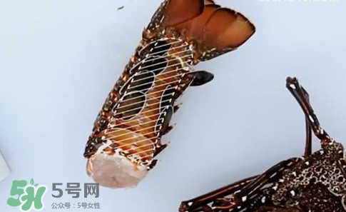 4斤的波士頓龍蝦多少錢(qián)？波士頓龍蝦怎么處理