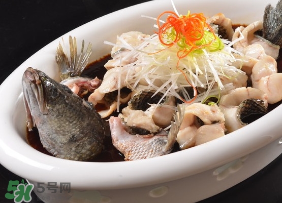 黑魚(yú)怎么殺不滑？黑魚(yú)為什么又被叫做財(cái)魚(yú)