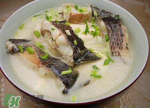 黑魚湯是發(fā)物嗎？黑魚湯可以放香菇嗎