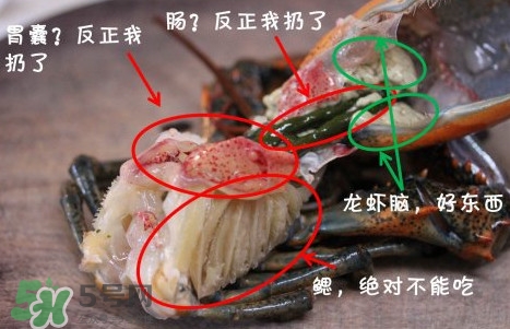 波士頓龍蝦頭能吃嗎？波士頓龍蝦哪里不能吃