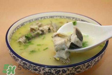 黑魚(yú)湯下奶嗎？黑魚(yú)湯是下奶還是回奶