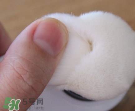 neogen妮珍面膜怎么樣？冷門性價比高的面膜