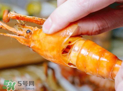 大頭蝦怎么做好吃？大頭蝦怎么處理？