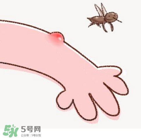 秋天有蚊子嗎？秋天有蚊子怎么辦？