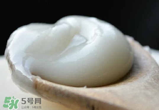 椴樹蜜可以泡檸檬嗎？椴樹蜜放冰箱冷藏好還是冷凍好