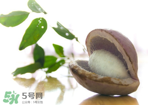 八月瓜的皮可以吃嗎？八月瓜的皮有什么功效