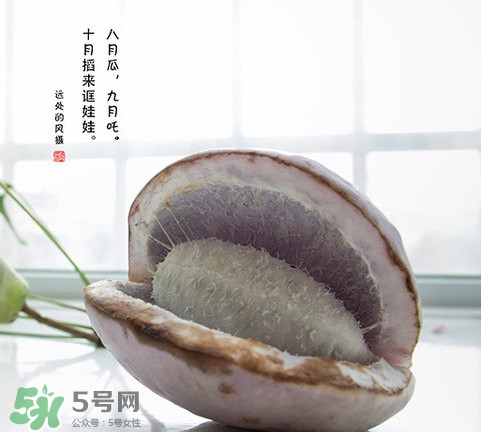 八月瓜可以泡酒嗎？八月瓜可以治乙肝嗎