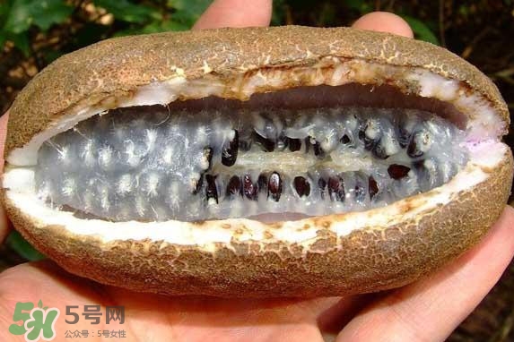 八月瓜能吃嗎？八月瓜到底有什么價(jià)值？