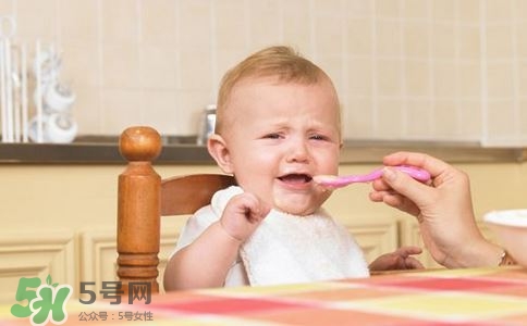 寶寶輔食可以吃哪些蔬菜？寶寶吃蔬菜泥的最佳時(shí)間