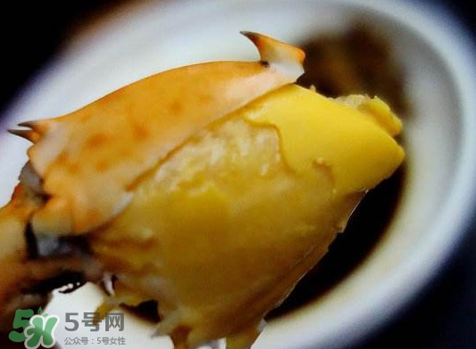 黃油蟹是什么蟹？黃油蟹多少錢(qián)一只