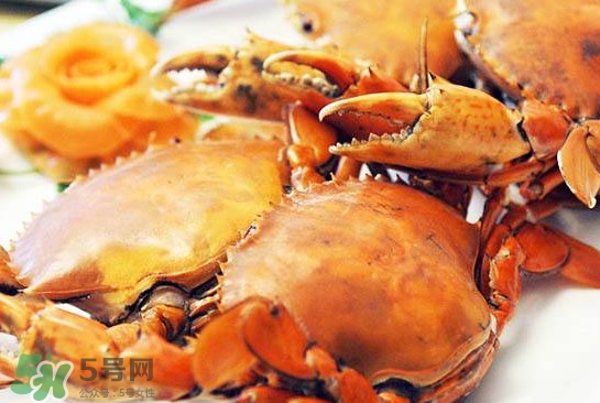 黃油蟹怎么處理？青蟹與黃油蟹有什么區(qū)別