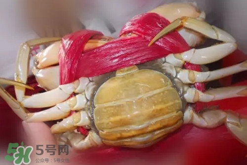 黃油蟹是海蟹嗎？黃油蟹是如何進化的