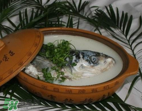 鰱魚頭湯孕婦可以吃嗎？鰱魚頭湯的功效與作用