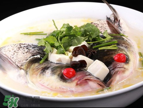 鰱魚頭湯孕婦可以吃嗎？鰱魚頭湯的功效與作用