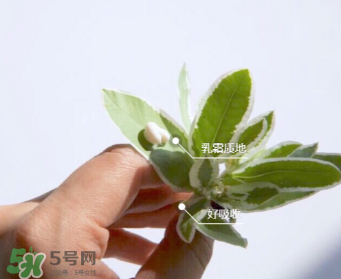 城野醫(yī)生377有副作用嗎？城野醫(yī)生377用了臉癢是什么原因？