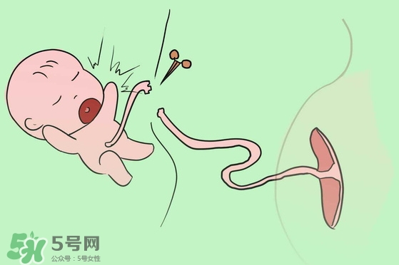 寶寶臍帶什么時候脫落？寶寶臍帶脫落后怎么護(hù)理？