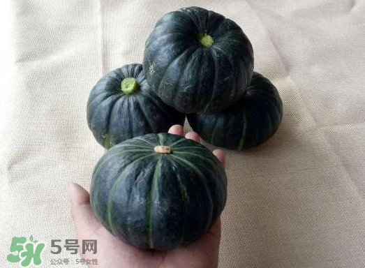 貝貝南瓜是哪里的？貝貝南瓜哪里產(chǎn)的