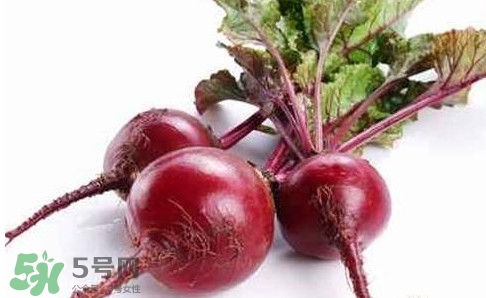 甜菜根是蘿卜嗎？甜菜根是什么菜